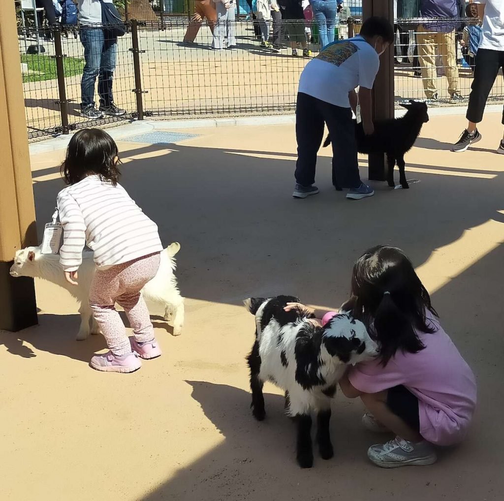 🎡 아라카와 유원지 (아라카와 유엔) 이미지 4